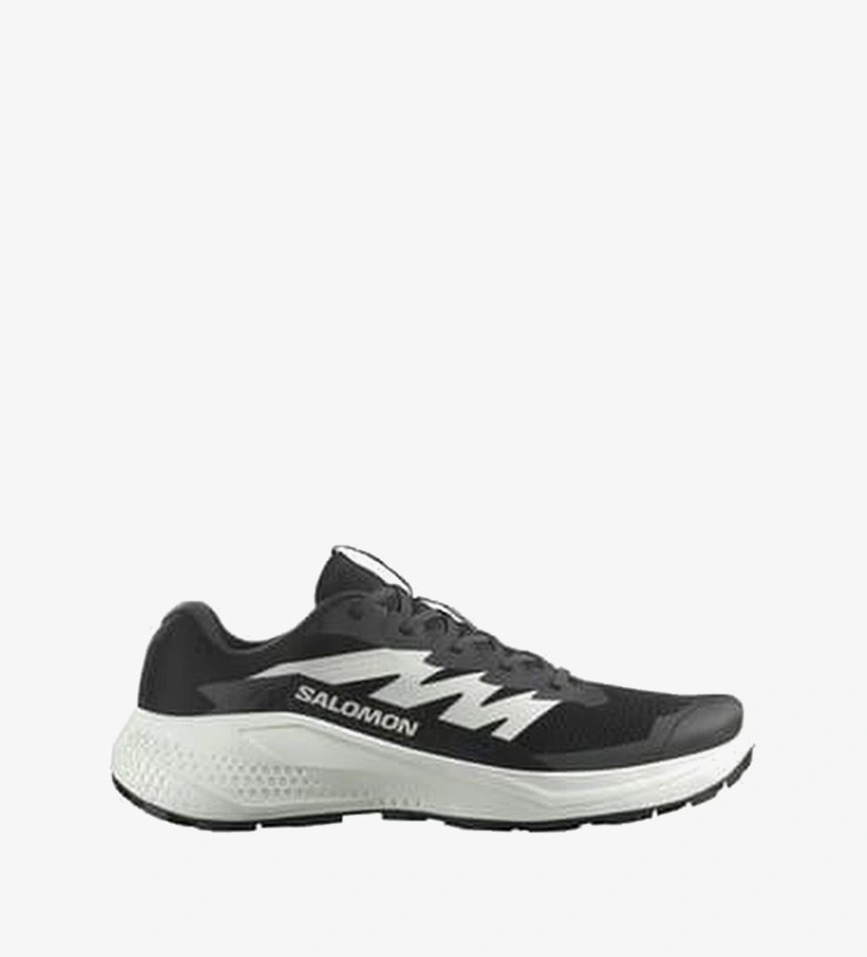Salomon Alphaglide Erkek Koşu Ayakkabısı L47801000