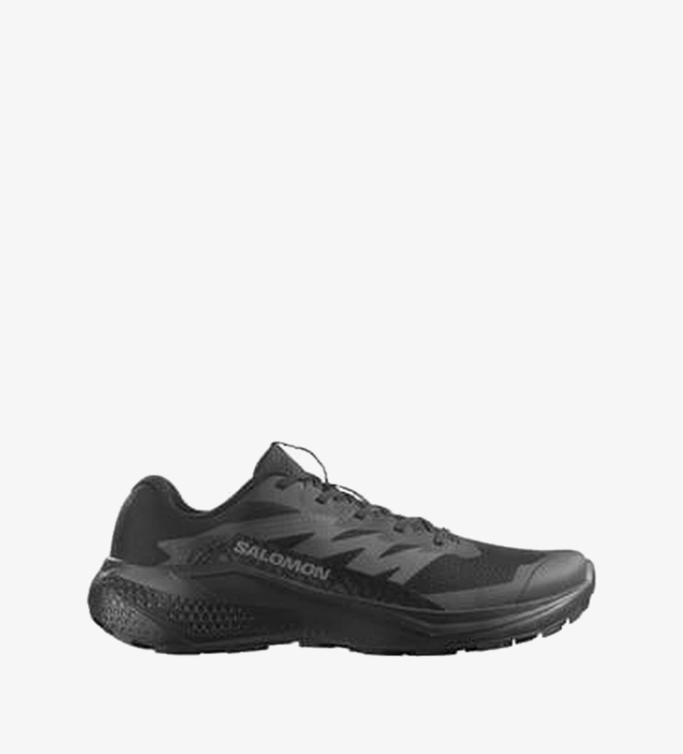 Salomon Alphaglıde Erkek Outdoor Ayakkabı L47948300