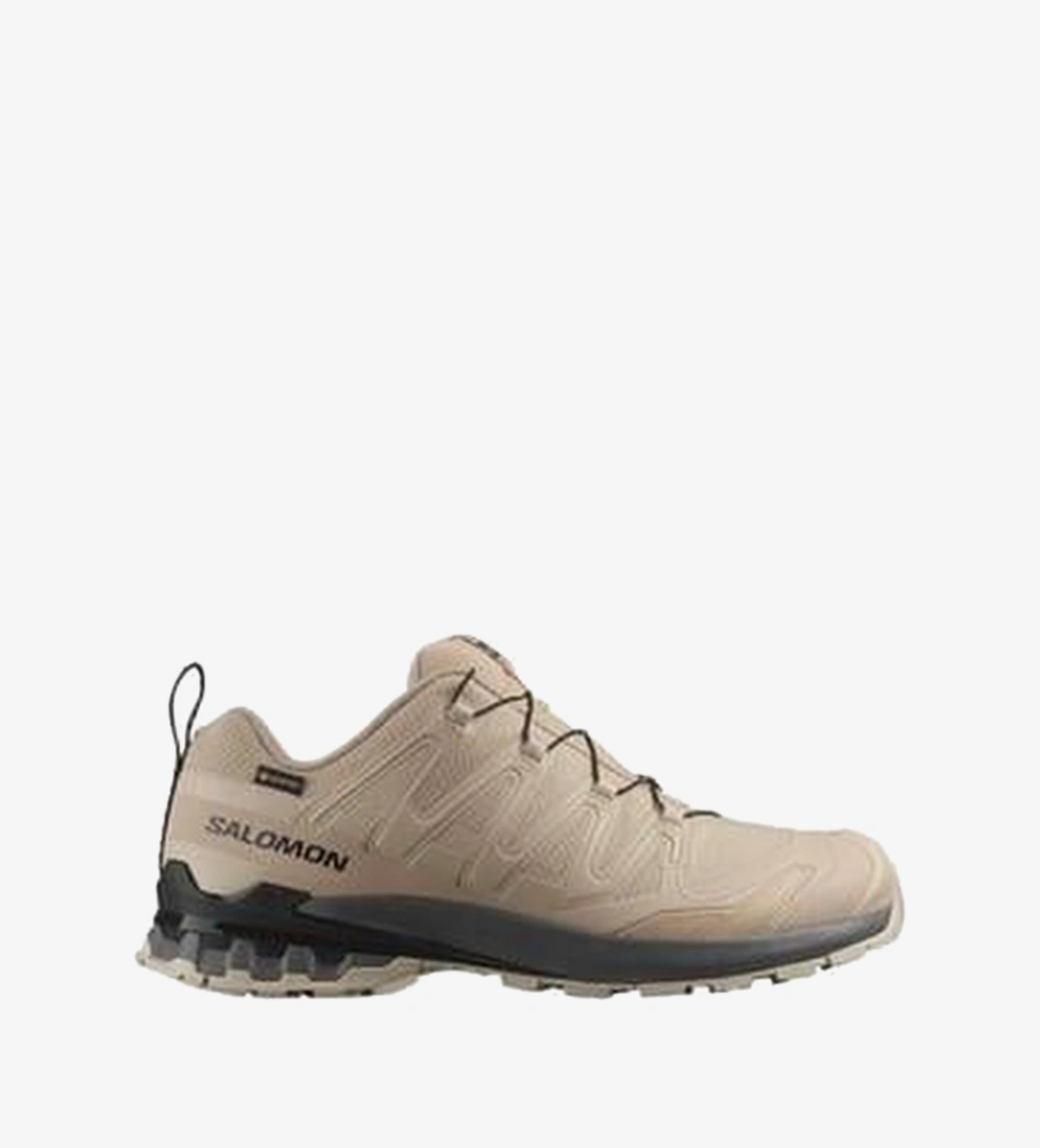Salomon Bej Salomon Xa Pro 3D V9 GORE-TEX