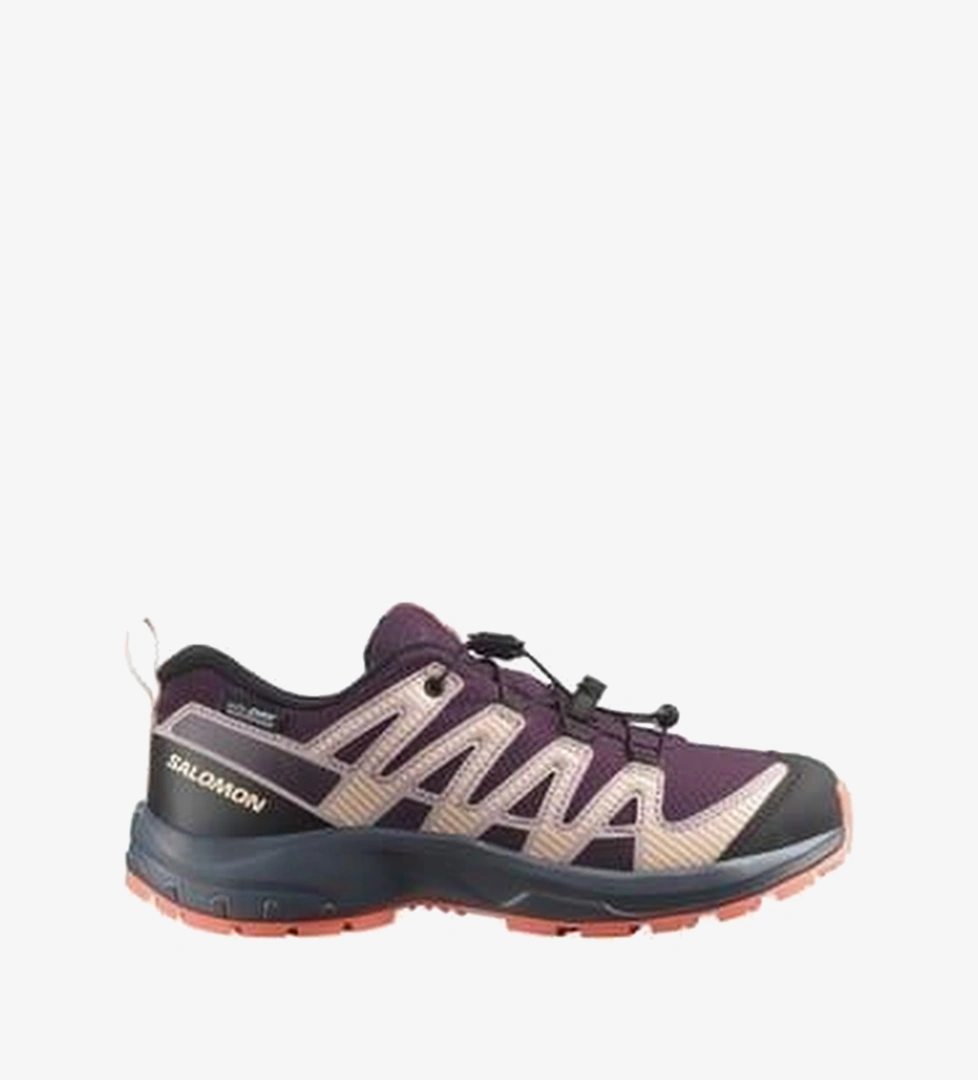 Salomon Mor Salomon Xa Pro V8