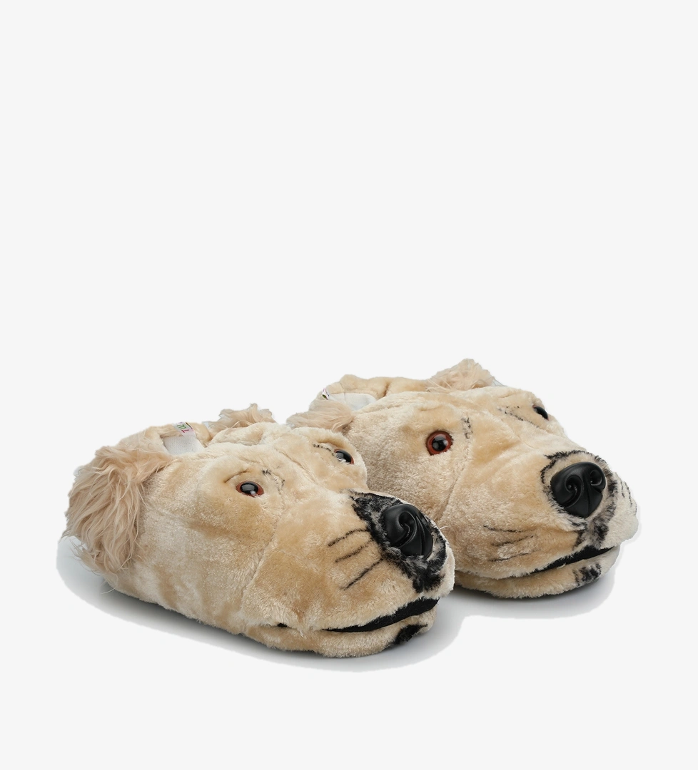 Bej Erkek Ev Terliği - Görsel 1