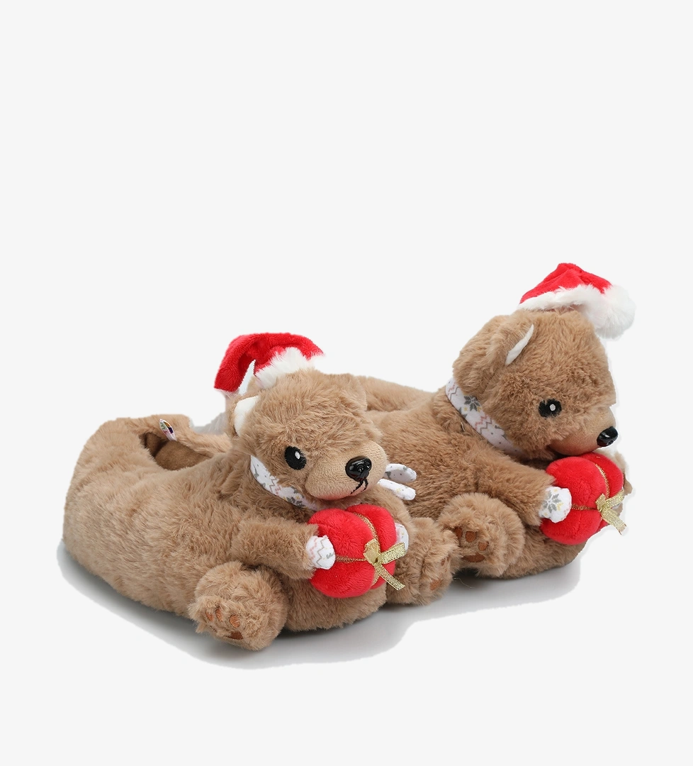 Kahve Kadın Ev Terliği - Görsel 1