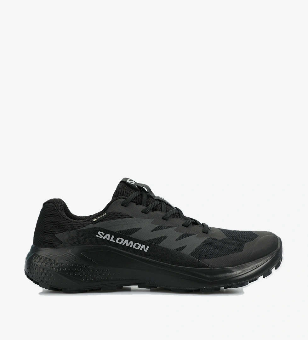 Salomon Gore-Tex Siyah Erkek Outdoor Ayakkabısı L47802100Alphaglıde model görseli