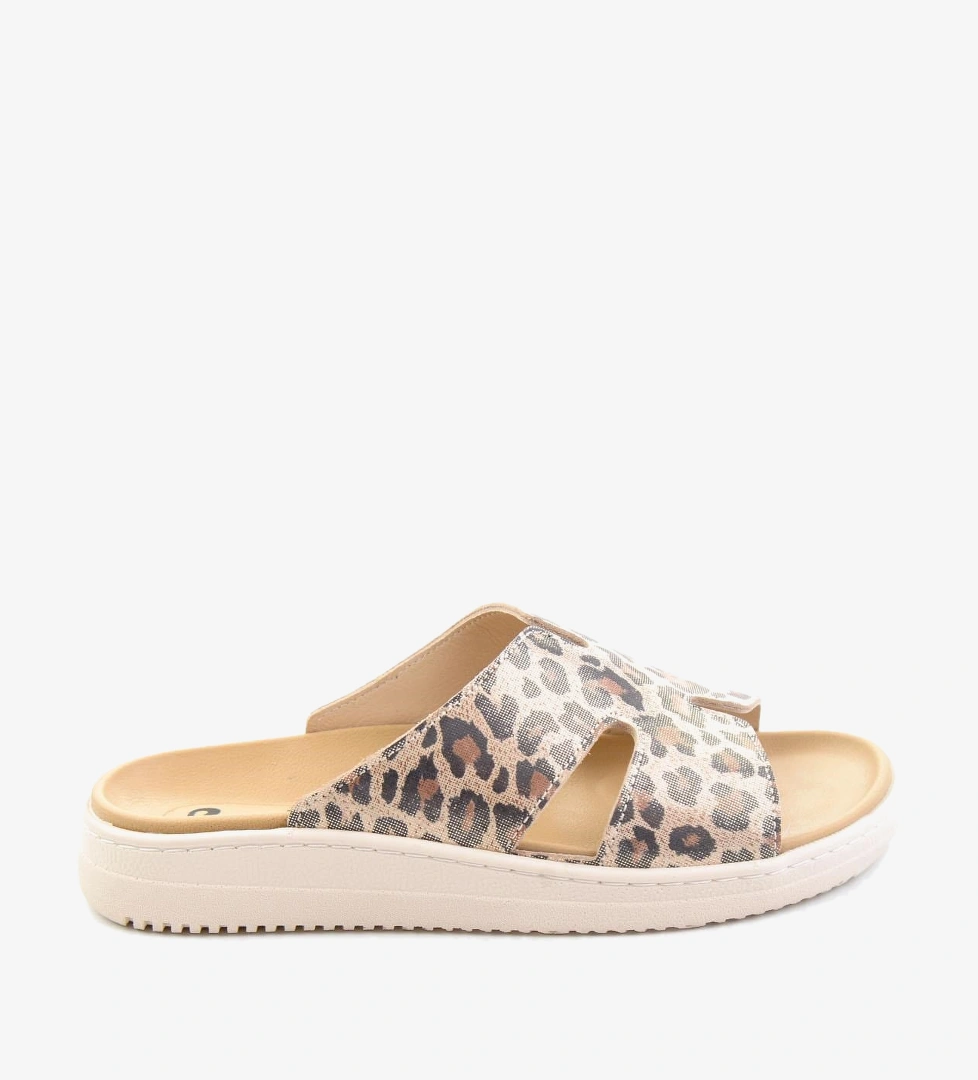 Bambi Leopar Bambi Leopar