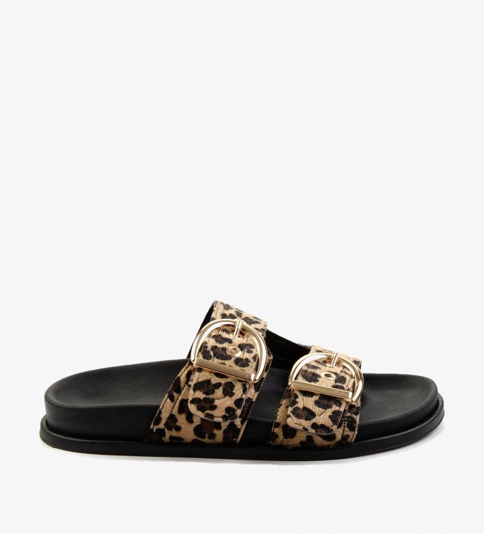 Bambi Leopar Bambi Leopar