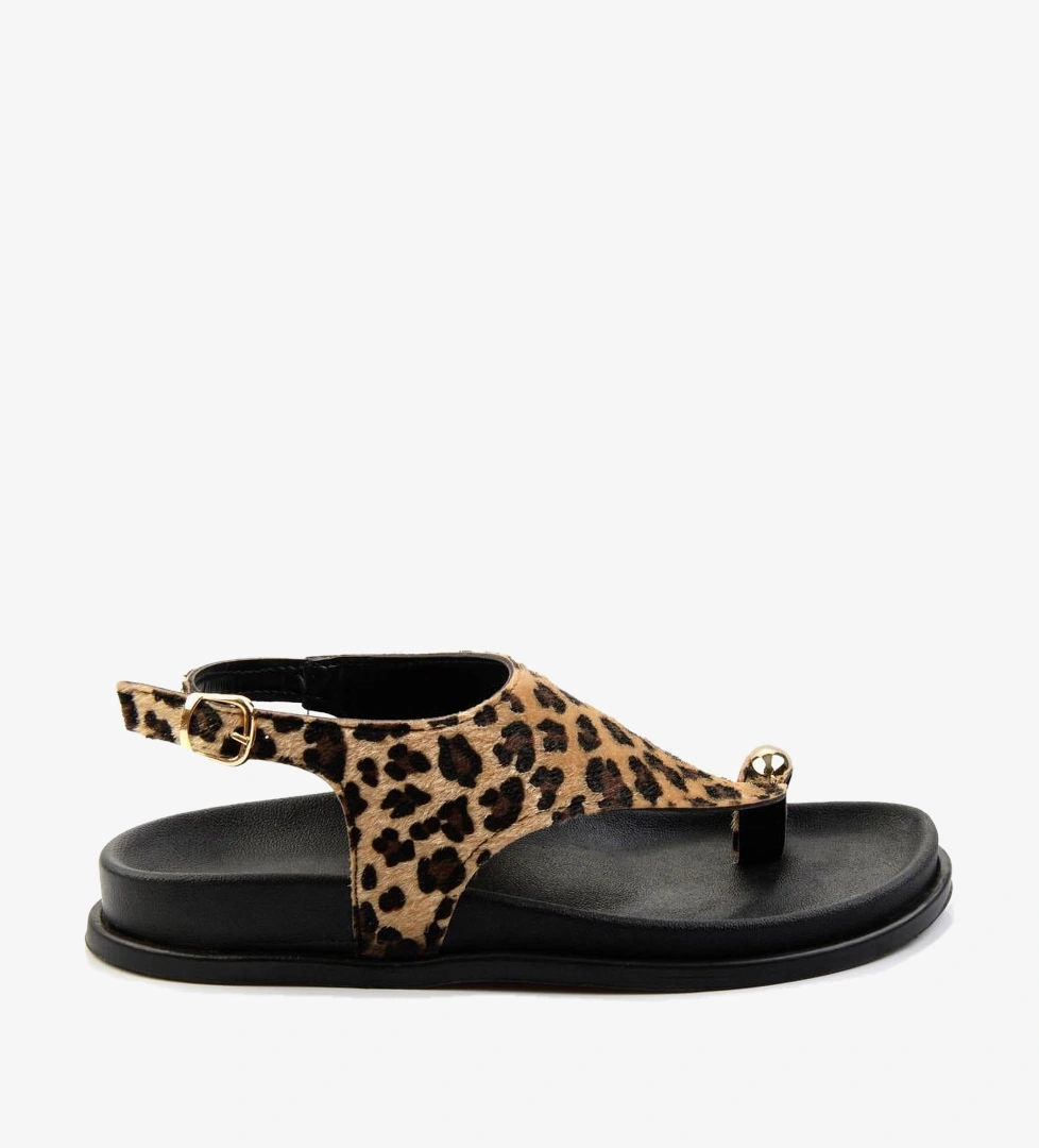 Bambi Leopar Bambi Leopar