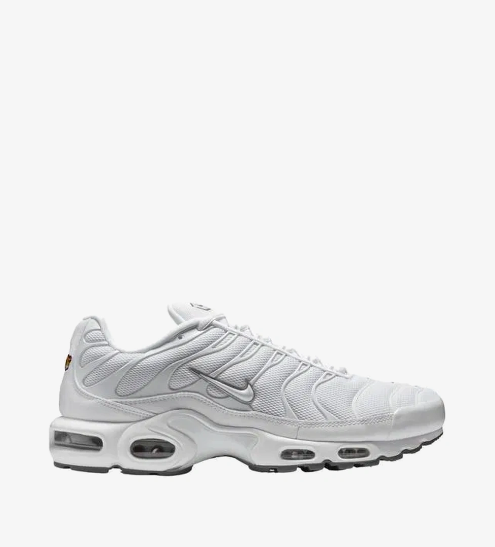 Nike Nike Air Max Plus CO Erkek Spor Ayakkabı model görseli
