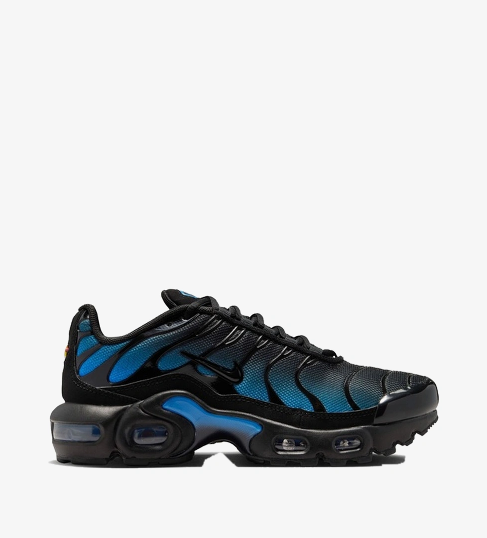 Nike Siyah Nike Air Max Plus
