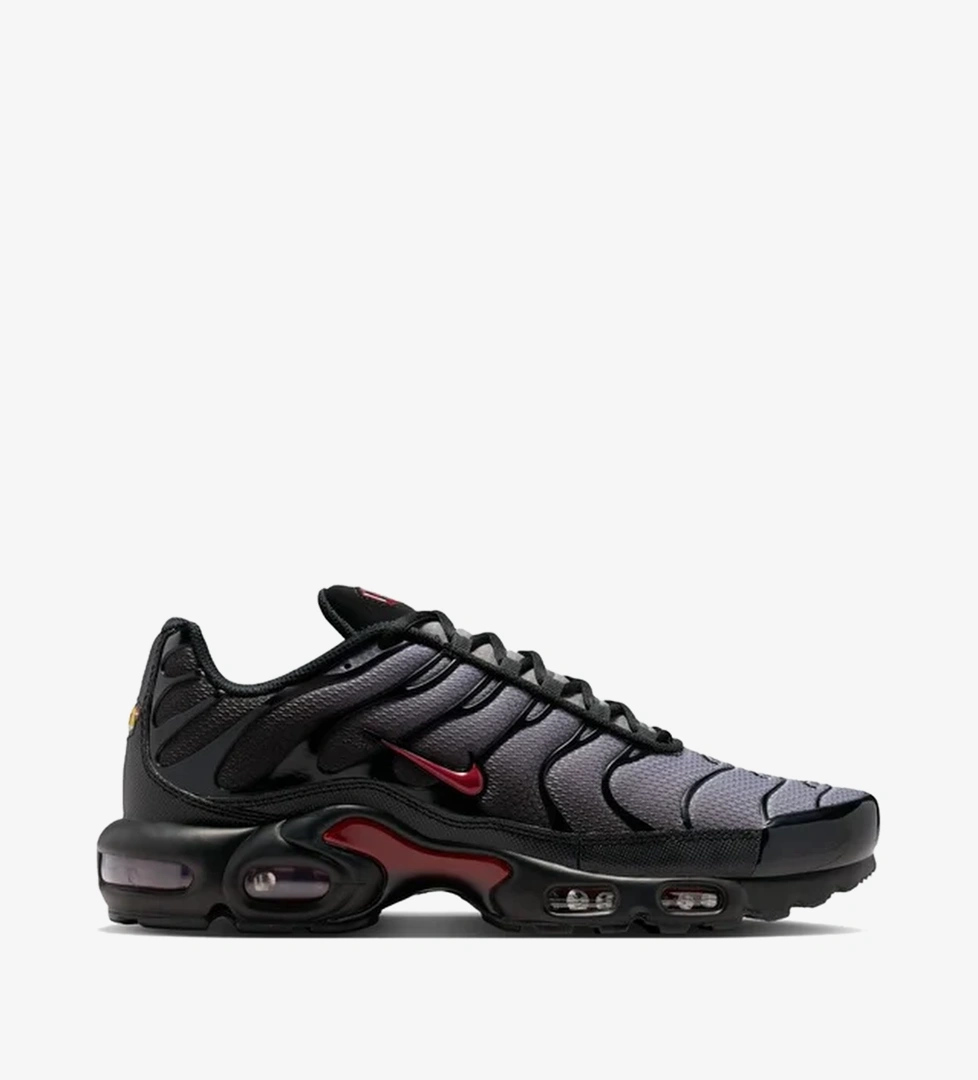 Nike Air Max Plus Erkek Spor Ayakkabı