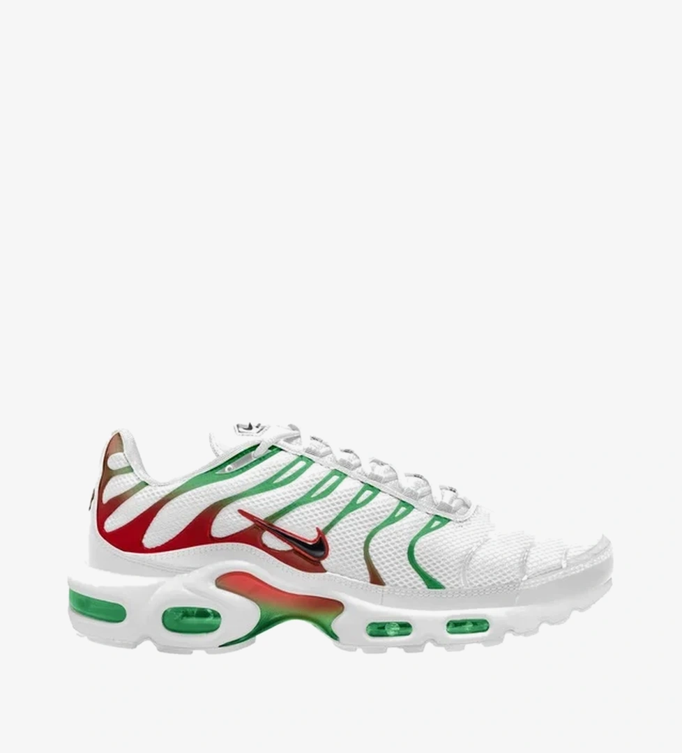 Nike Air Max Plus Erkek Spor Ayakkabı