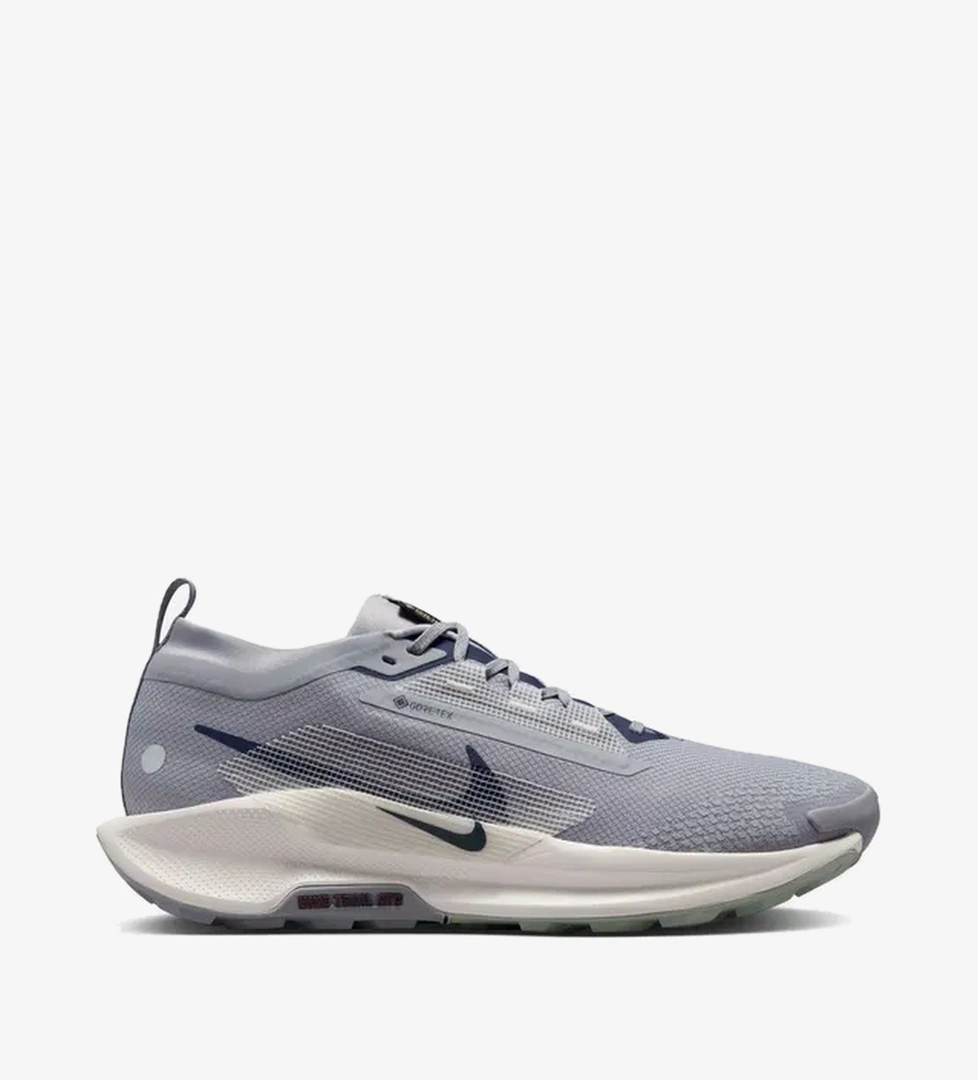 Nike Nike Pegasus Trail 5 Gore-Tex Running Erkek Spor Ayakkabı model görseli