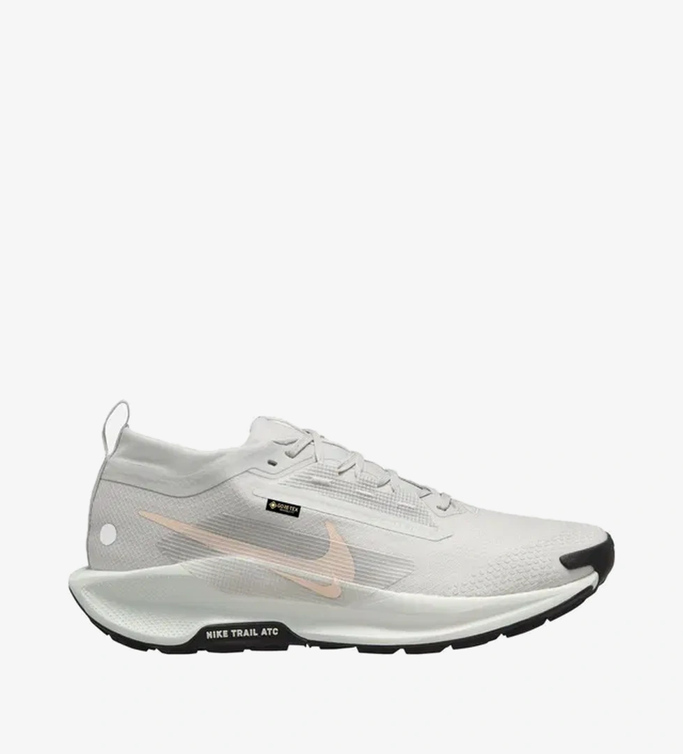 Nike Nike Pegasus Trail 5 Gore-Tex Running Erkek Spor Ayakkabı model görseli