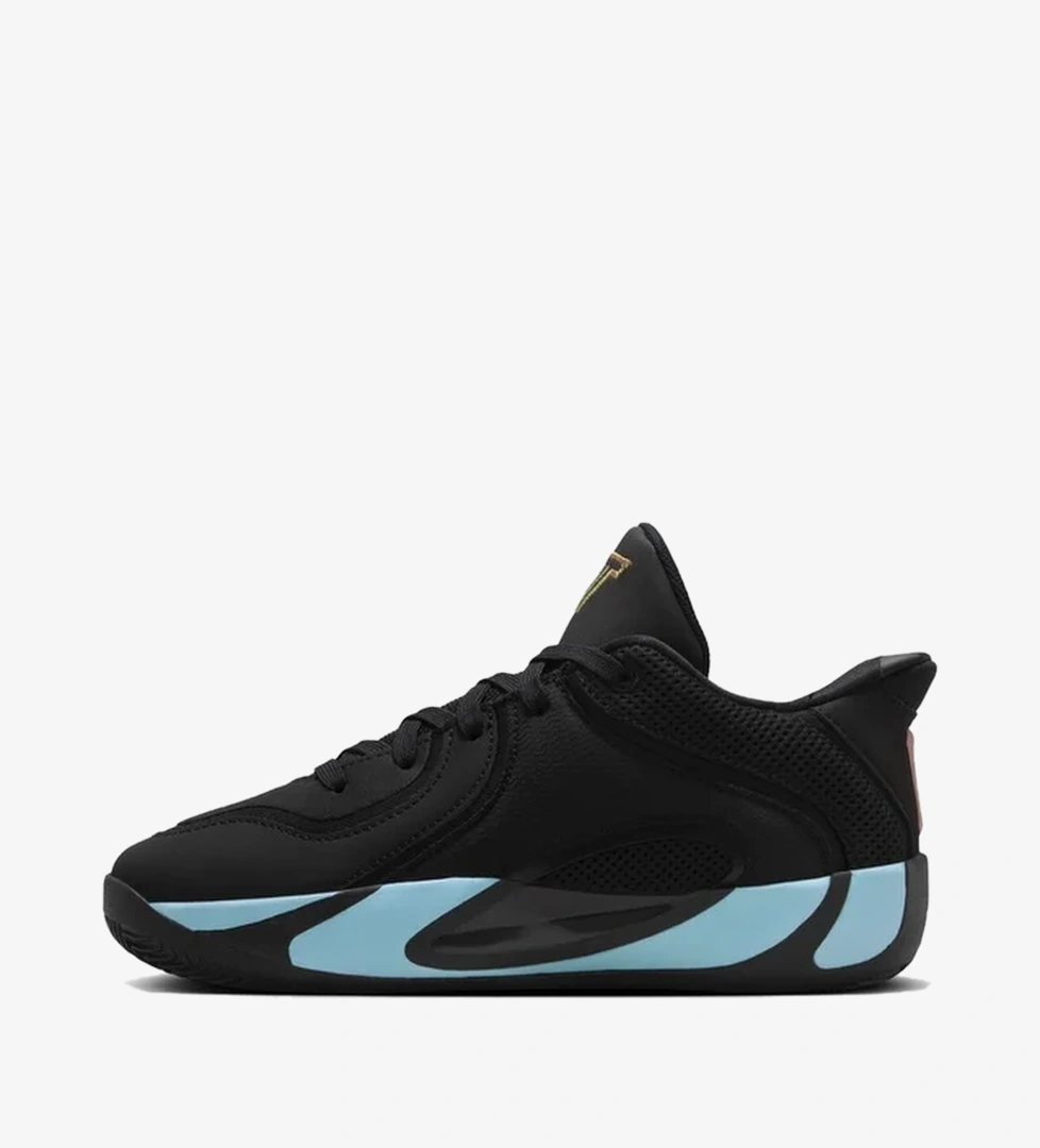 Nike Siyah Nike Jordan Tatum