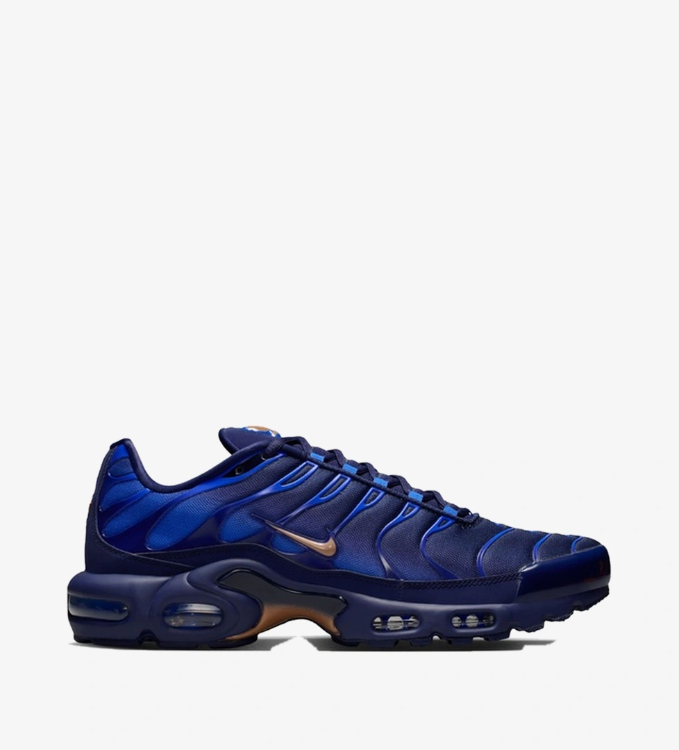 Nike Lacivert Nike Air Max Plus