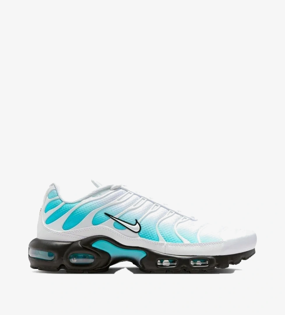 Nike Mavi Nike Air Max Plus