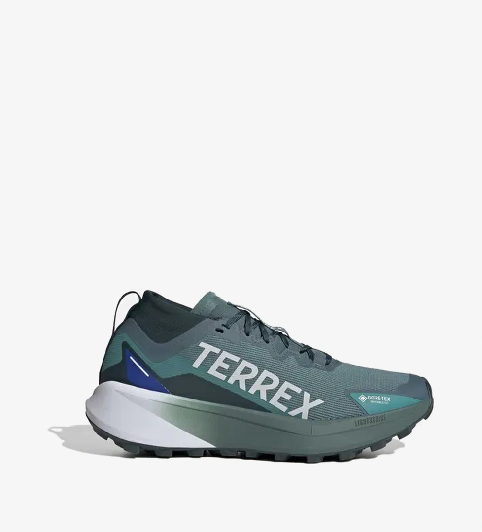 Adidas adidas Terrex Agravic Gtx FW25 Erkek Outdoor Ayakkabı model görseli