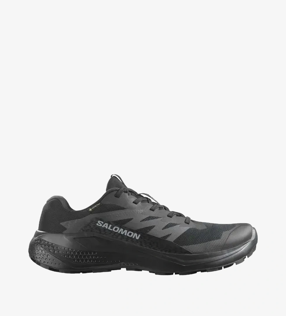 Salomon Alphaglide Gore-Tex Erkek Outdoor Ayakkabı