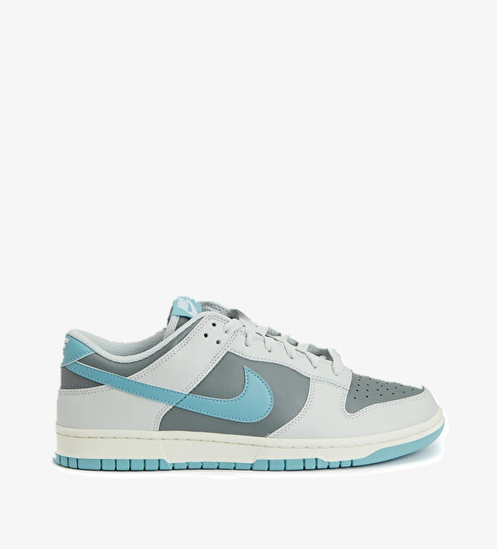 Nike Dunk Low Retro Erkek Sneaker model görseli
