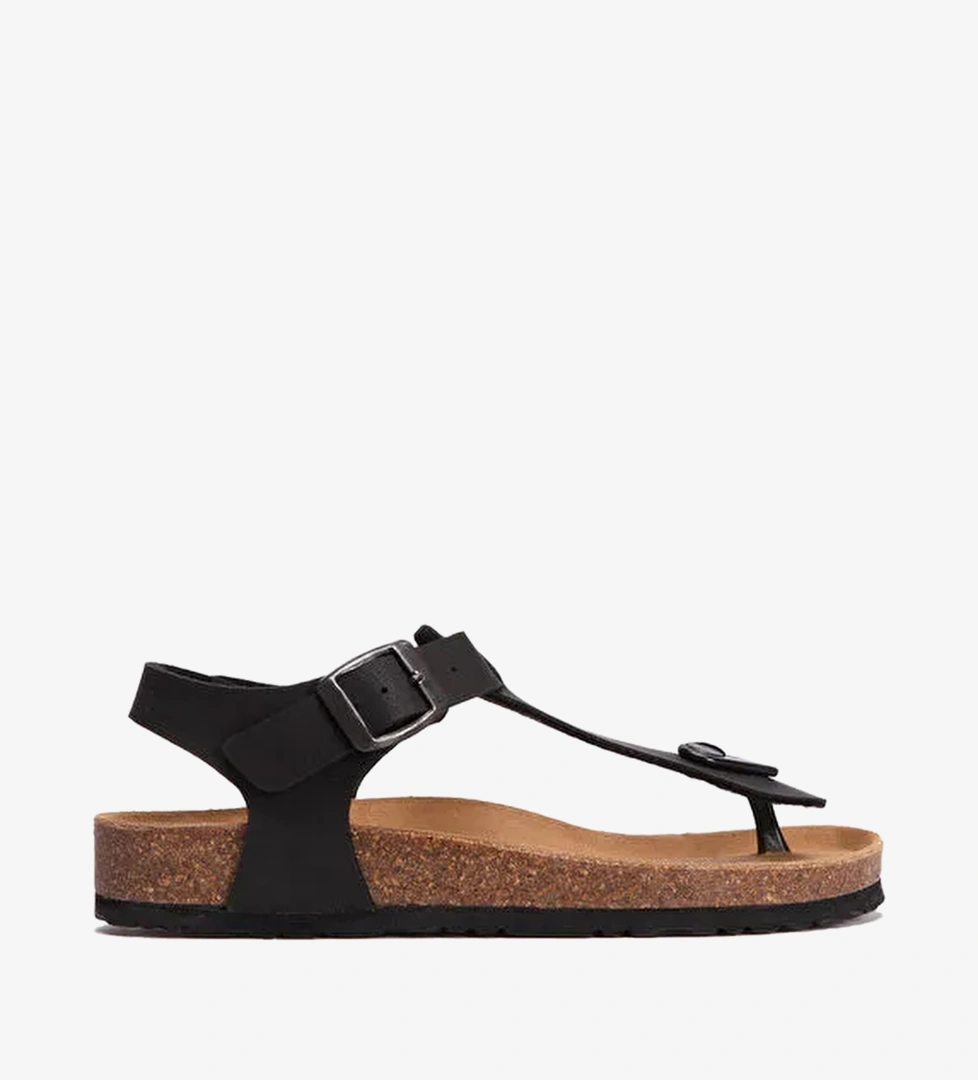 Kifidis Siyah Kifidis Step Mantar