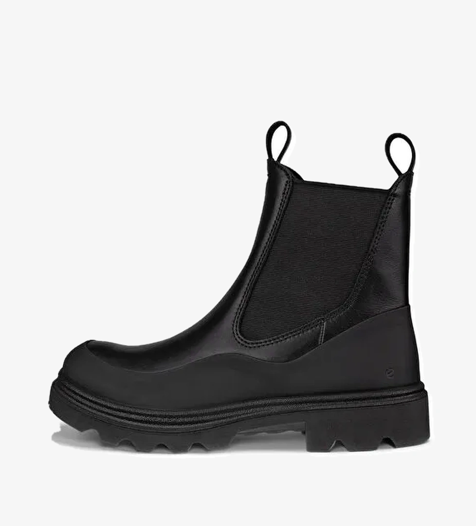 Ecco Ecco Siyah Kadın Deri Bot ECCO Grainer W Black model görseli