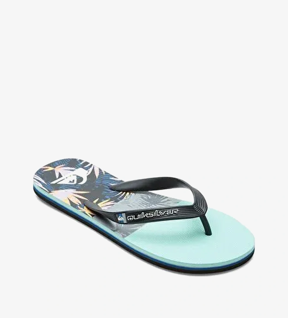 Quiksilver Siyah Quiksilver Molokai Panel