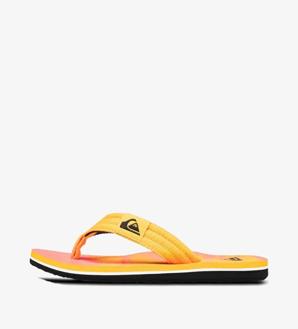 Quiksilver Quiksilver Molokai Layback