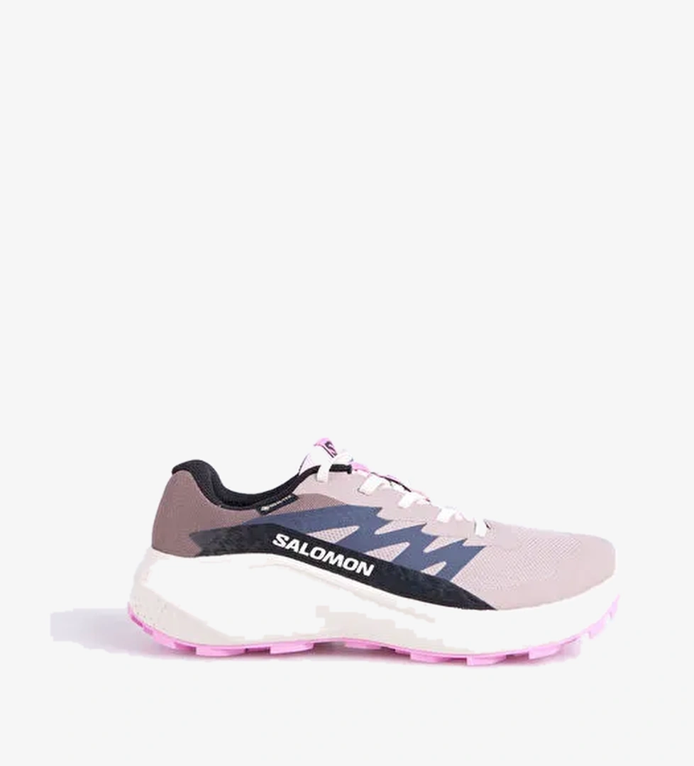 Salomon Salomon Alphaglıde Gore-Tex W Kadın Outdoor Ayakkabısı L47857900 model görseli