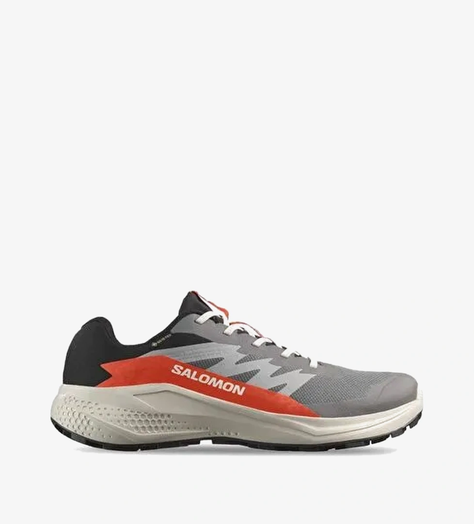 Alphaglıde Gore-Tex Erkek Koşu Ayakkabısı L47975300