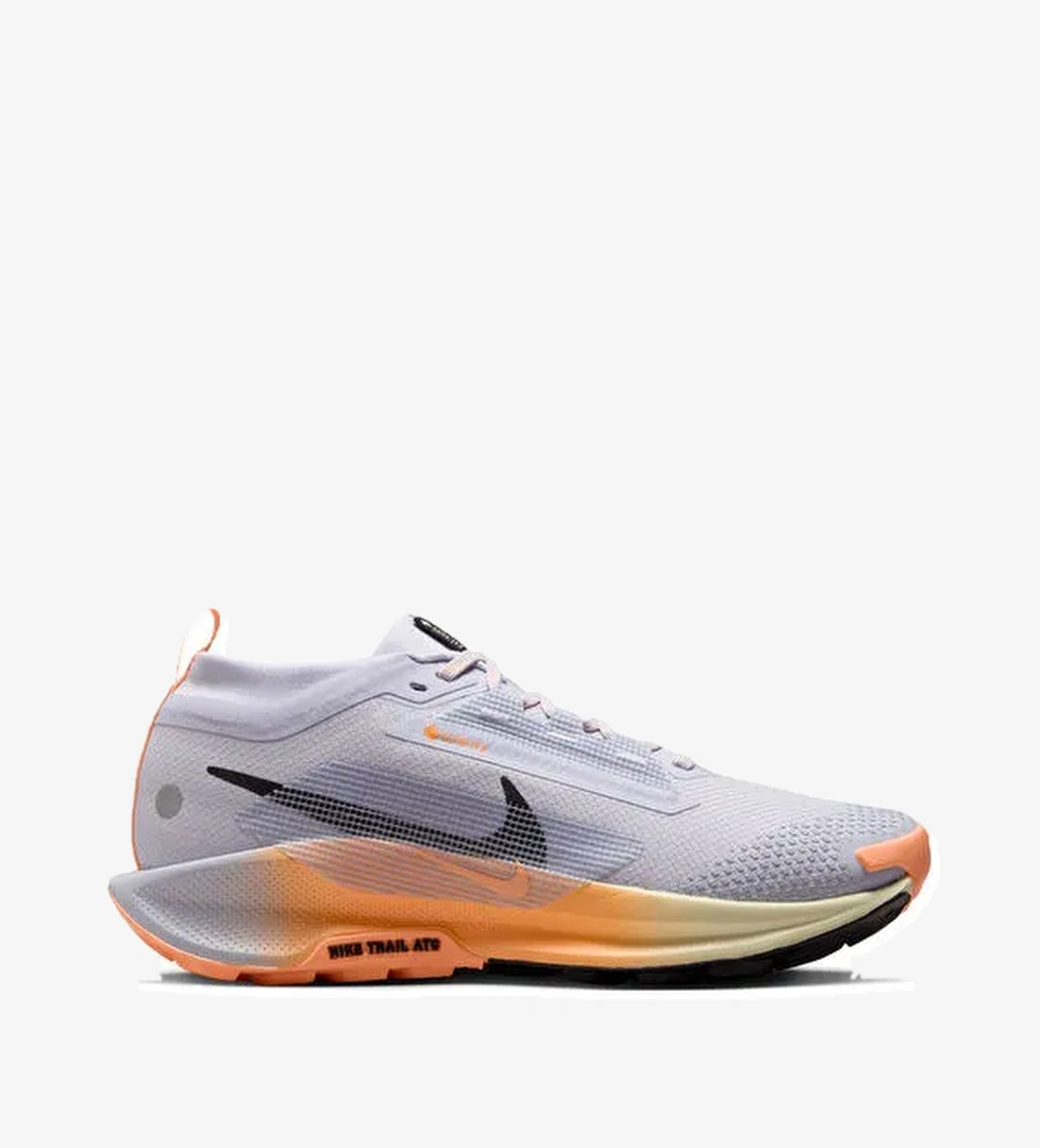 Nike FQ0912-011 W PEGASUS TRAIL 5 GTX Gri Kadın Koşu Ayakkabısı - Görsel 1