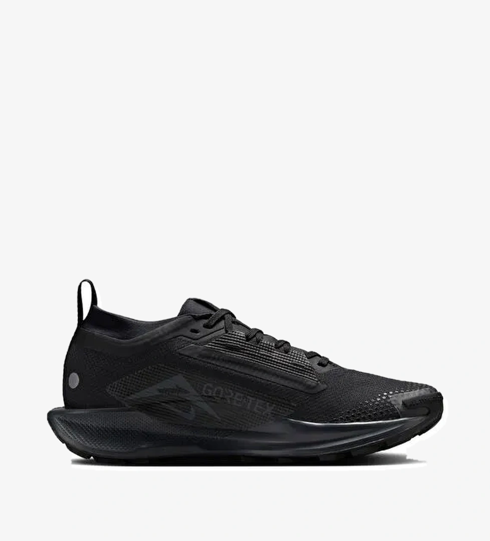 Nike FQ0912-002 W PEGASUS TRAIL 5 GTX Siyah Kadın Koşu Ayakkabısı - Görsel 1