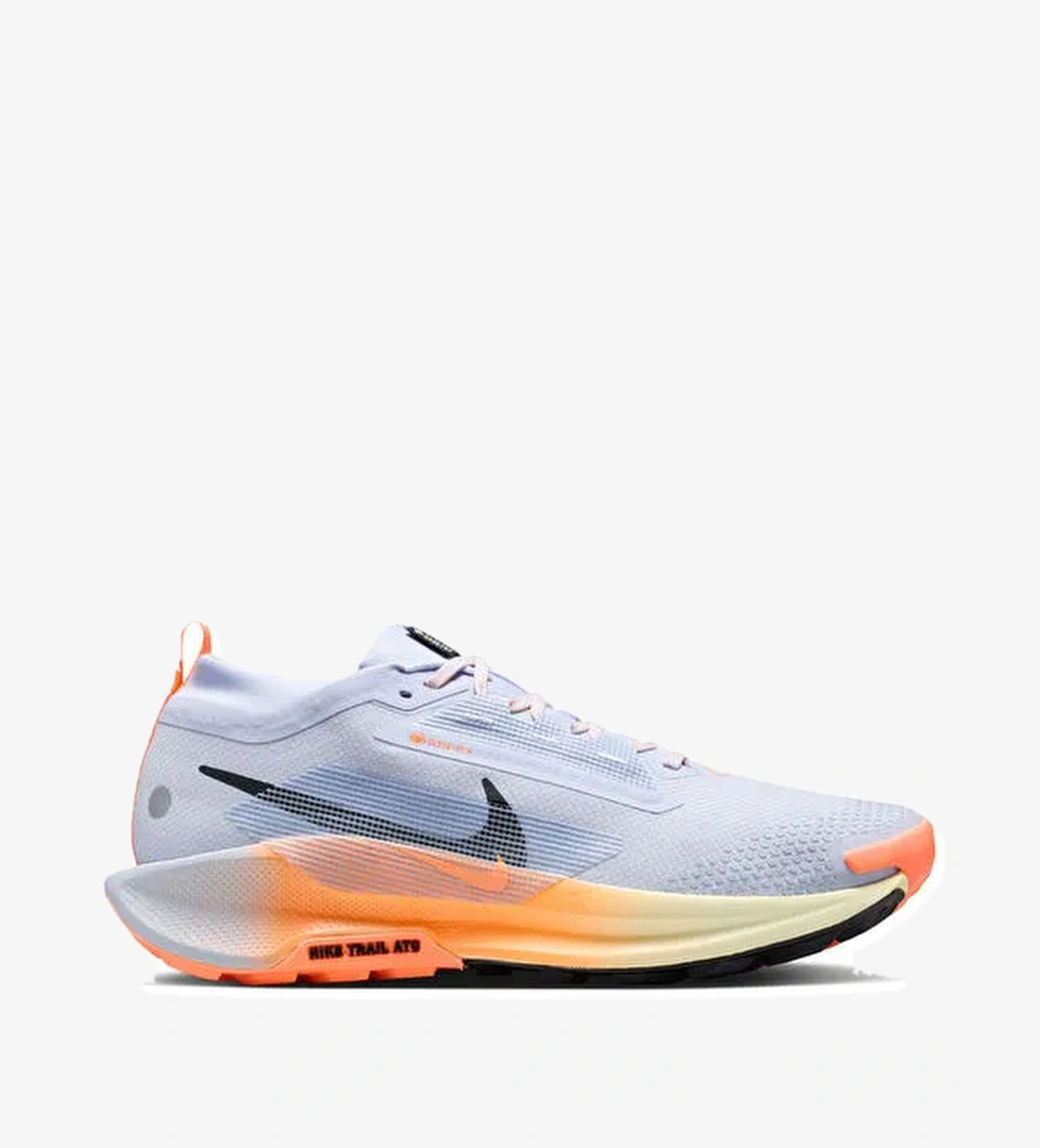 Nike FQ0908-011 PEGASUS TRAIL 5 GTX Mavi Erkek Koşu Ayakkabısı - Görsel 1