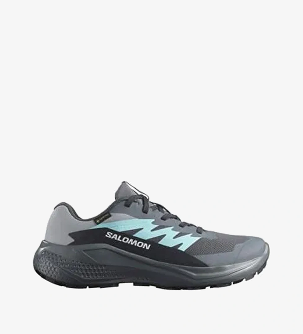 Salomon ALPHAGLIDE GORE-TEX Kadın Ayakkabısı L47802300 - Görsel 1