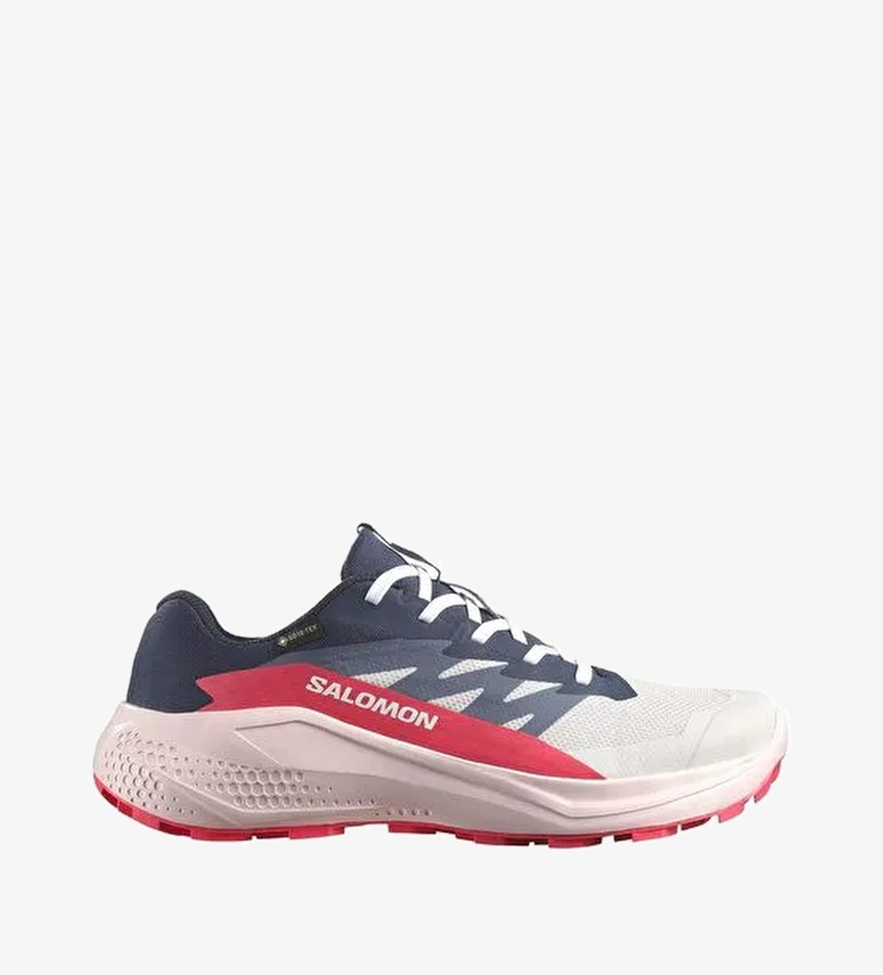 Salomon Alphaglıde Gore-Tex Kadın Patika Koşusu Ayakkabısı L47802300 - Görsel 1