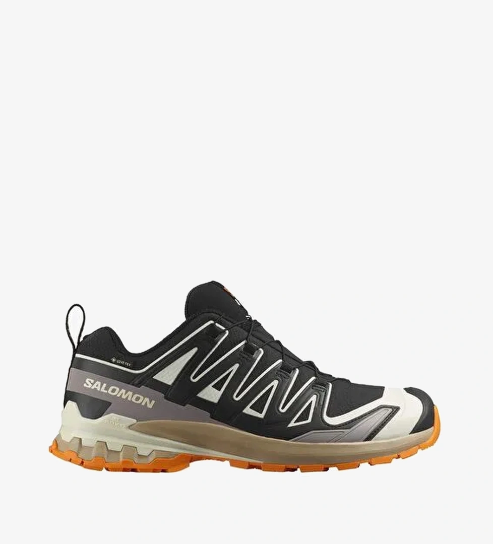 Salomon Xa Pro 3D V9 Gore-Tex Erkek Outdoor Ayakkabı - Görsel 1