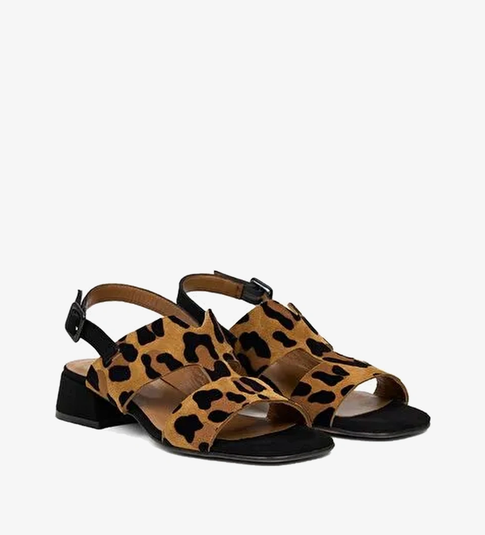 Luca Grossi Leopar Desenli