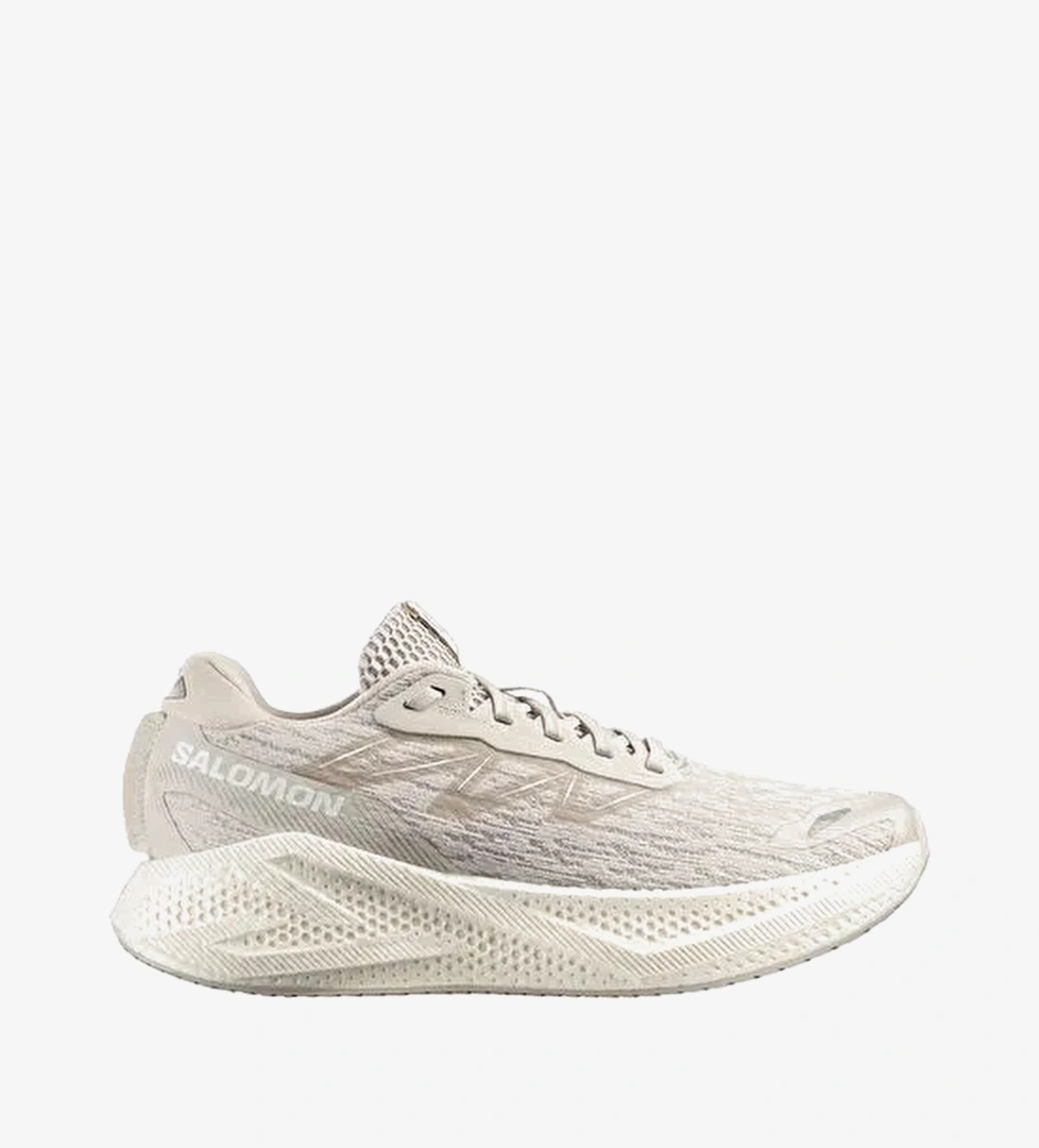 Salomon Aero Glide 4 Erkek Patika Koşu Ayakkabısı-L49147200