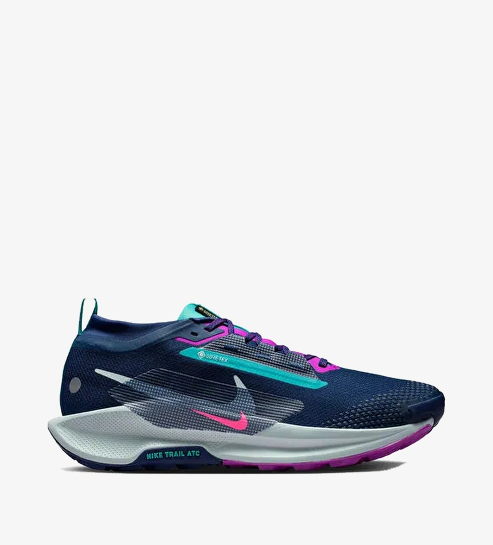 Nike Mavi Nike Pegasus 5