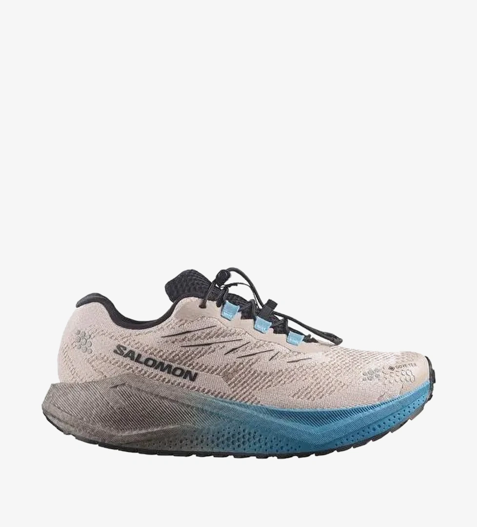 Salomon Aero Blaze 4 Grvl Gore-Tex Erkek Koşu & Yürüyüş Ayakkabısı-L45403300