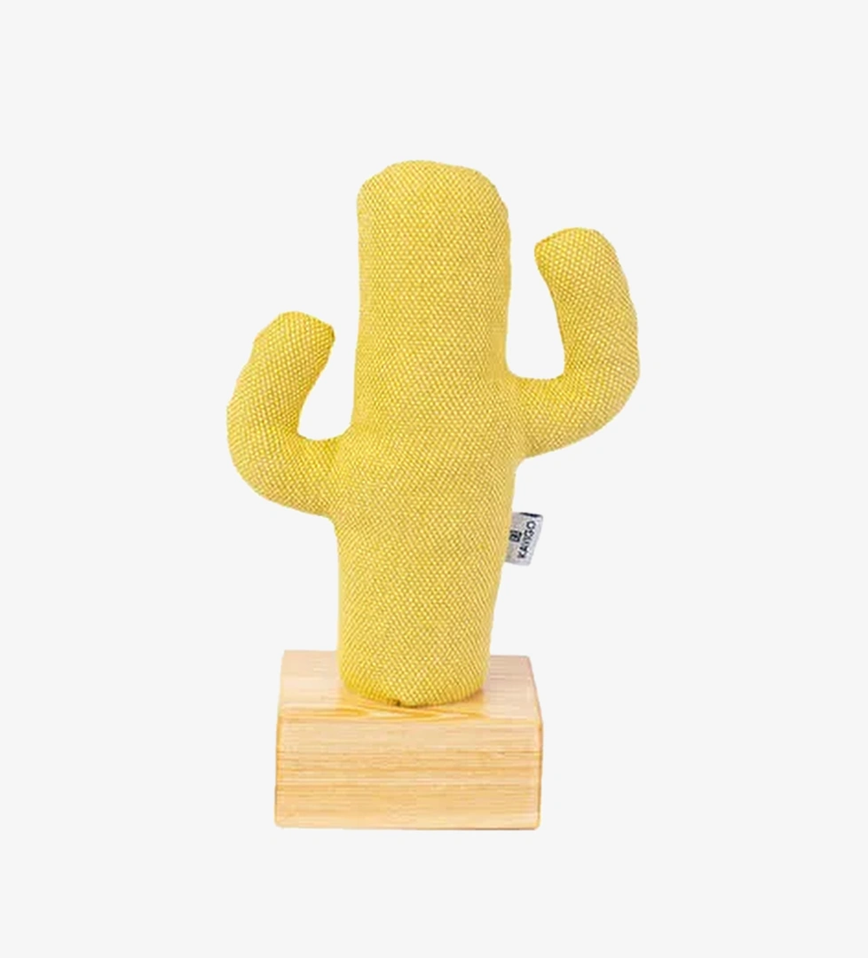 Kayigo Kayigo Cactus Lavanta