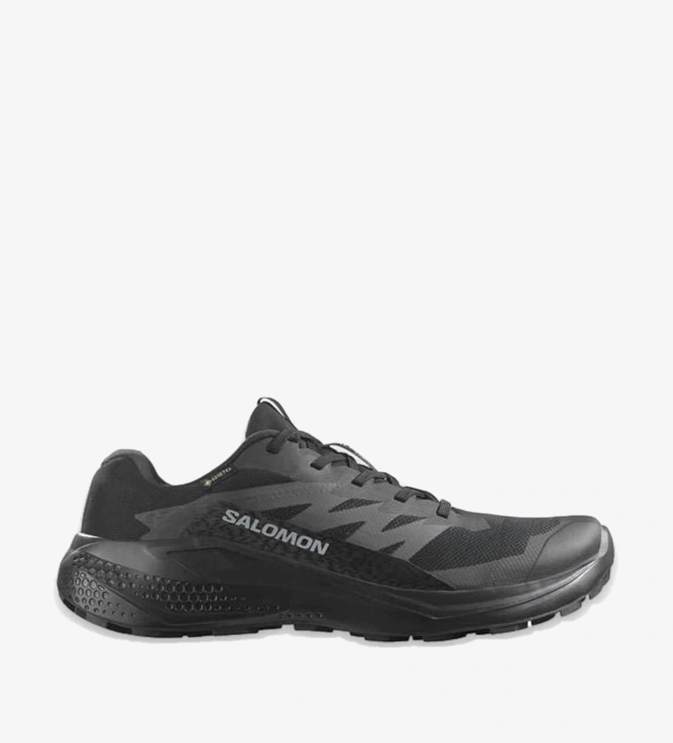 Salomon Siyah Salomon Alphaglide Gore