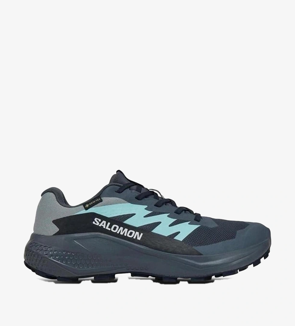 Salomon Gri Salomon Alphaglide Gore