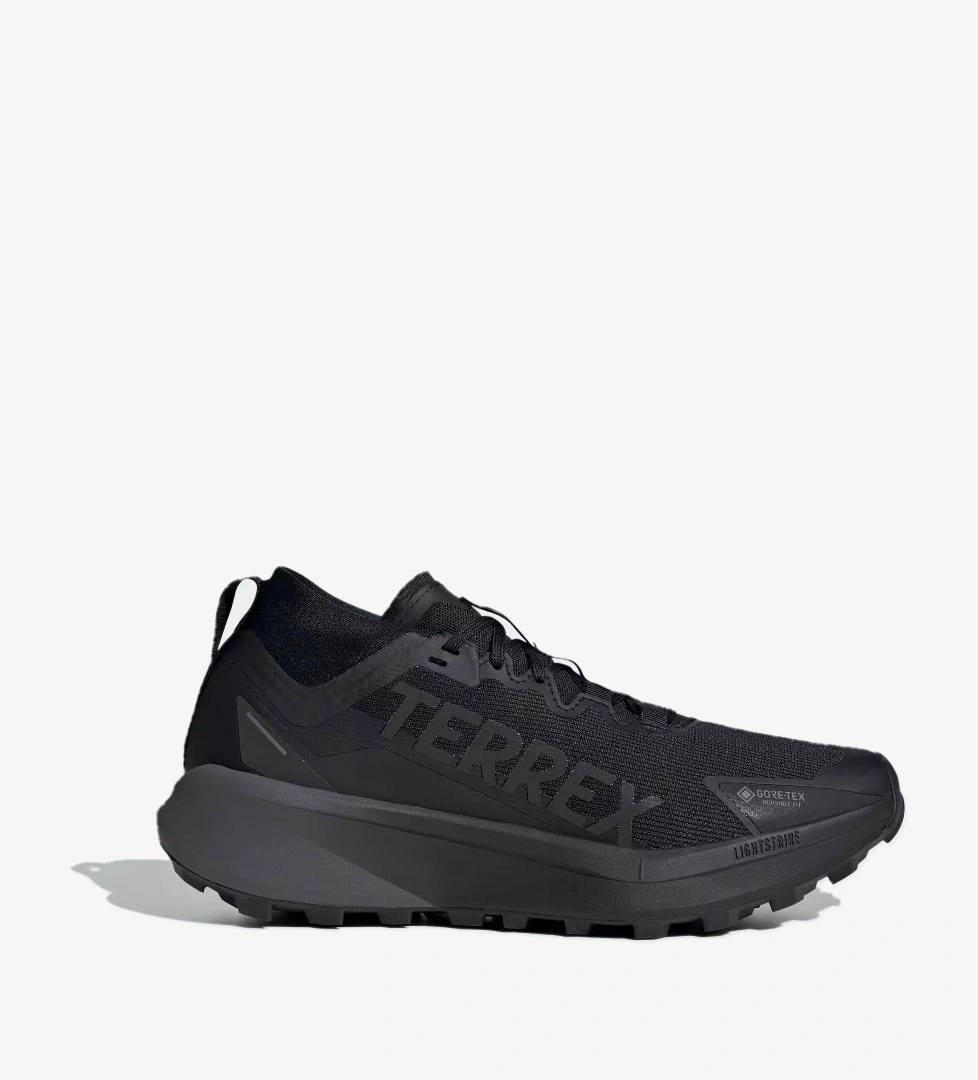 adidas Terrex Agravic GTX Erkek Koşu Ayakkabısı - Görsel 1