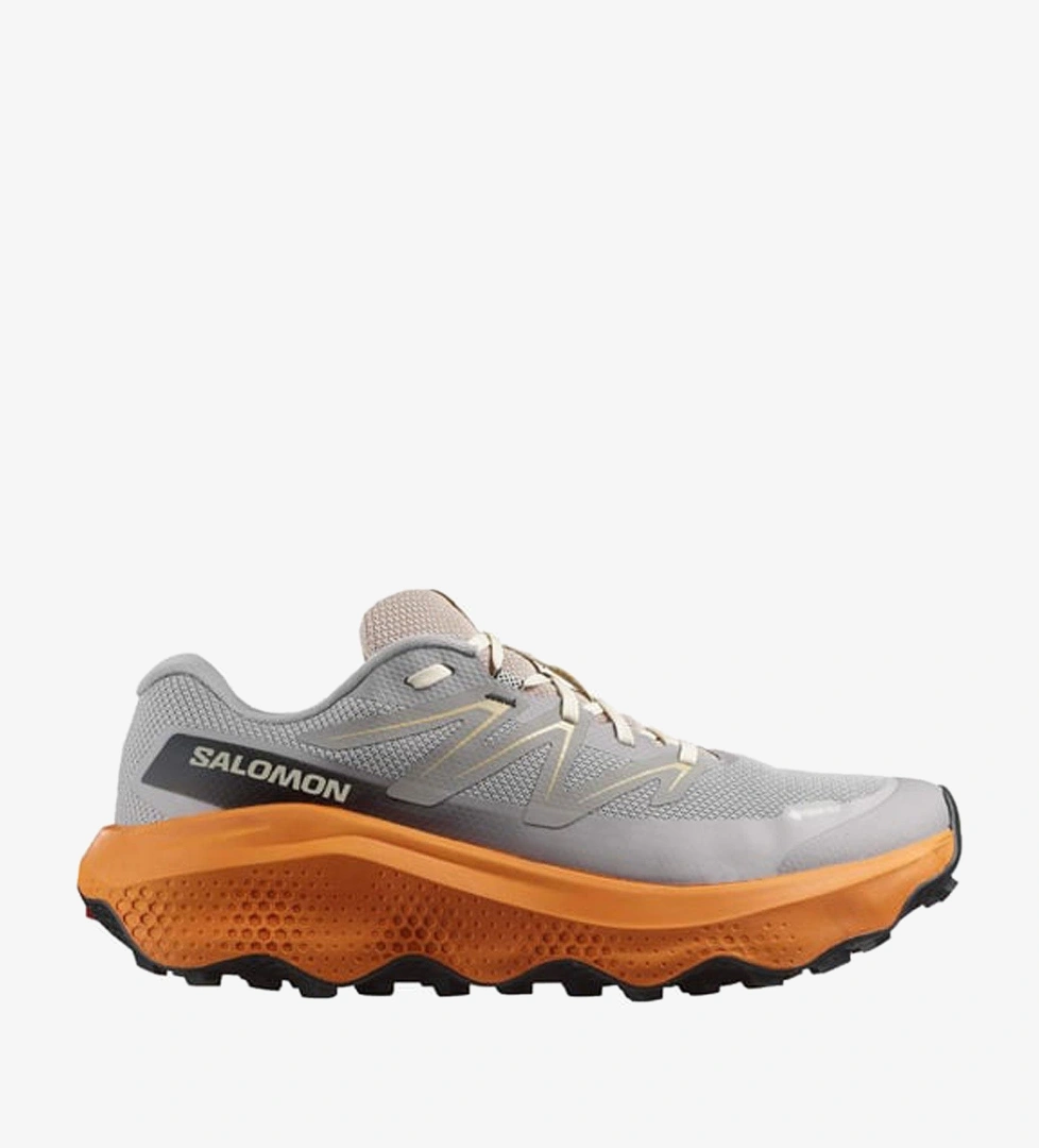 Salomon Ultra Flow 2 Gore-Tex Erkek Koşu Ayakkabısı - Görsel 1