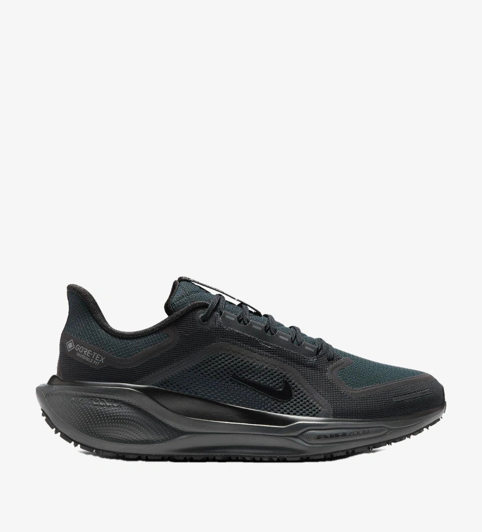 Nike Siyah Nike Pegasus Gore