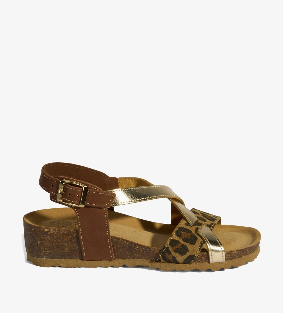 Desa Desa Leopar Toka