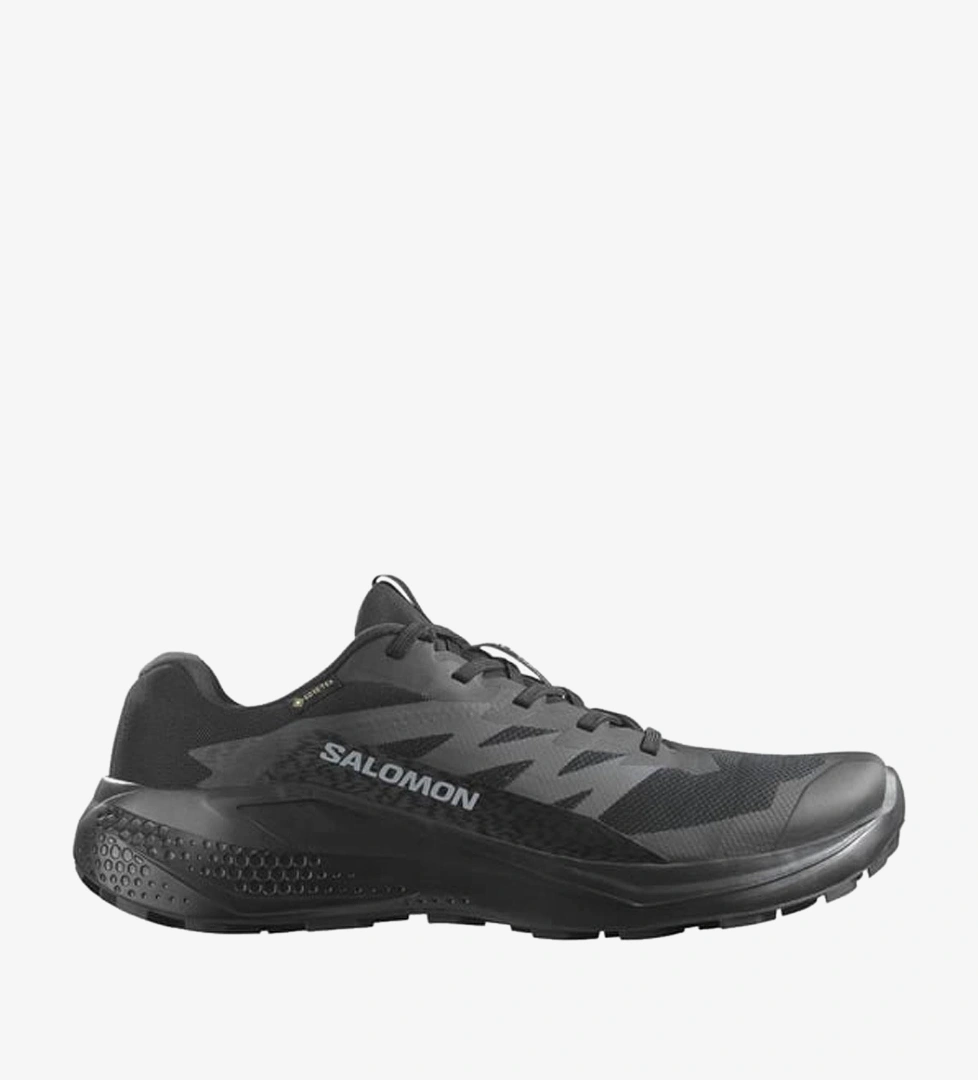 Salomon Alphaglide Gore-Tex Erkek Koşu Ayakkabısı