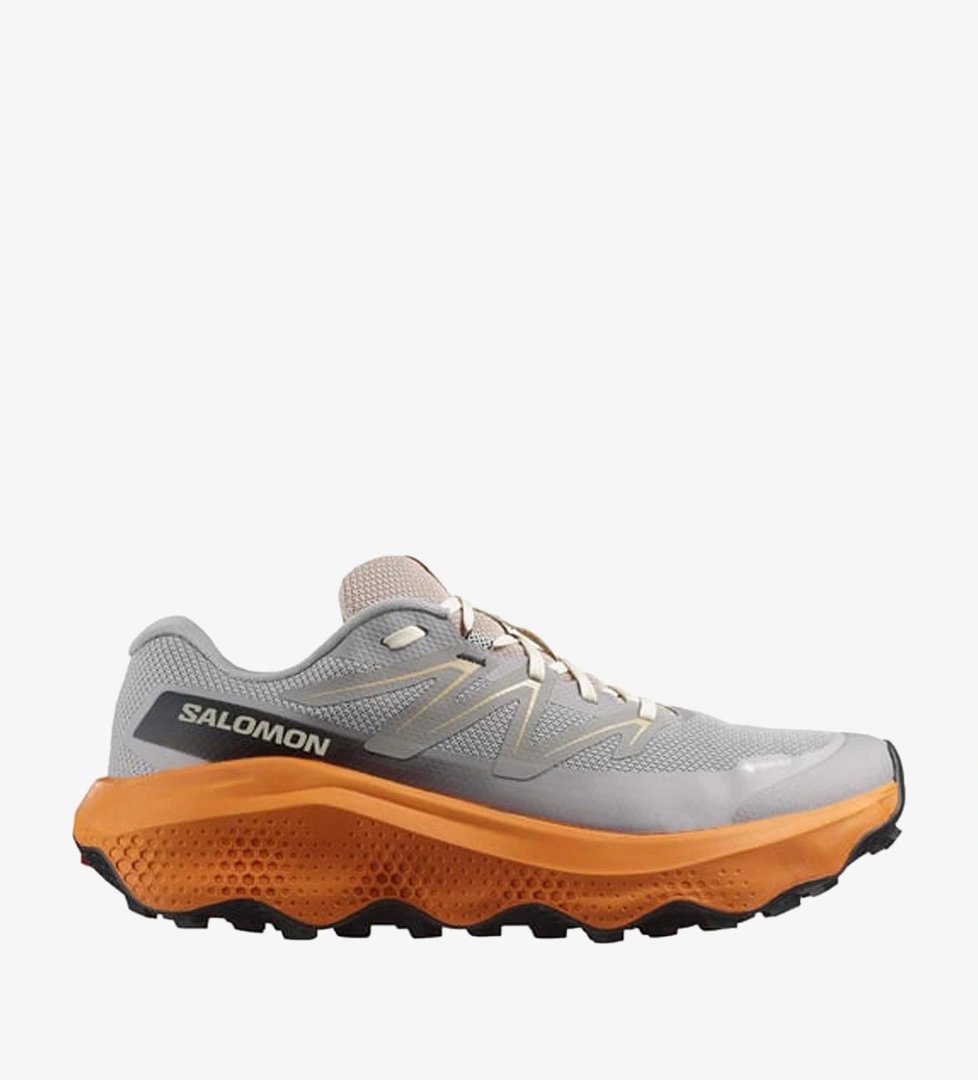 Salomon Ultra Flow 2 Gore-Tex Erkek Koşu Ayakkabısı