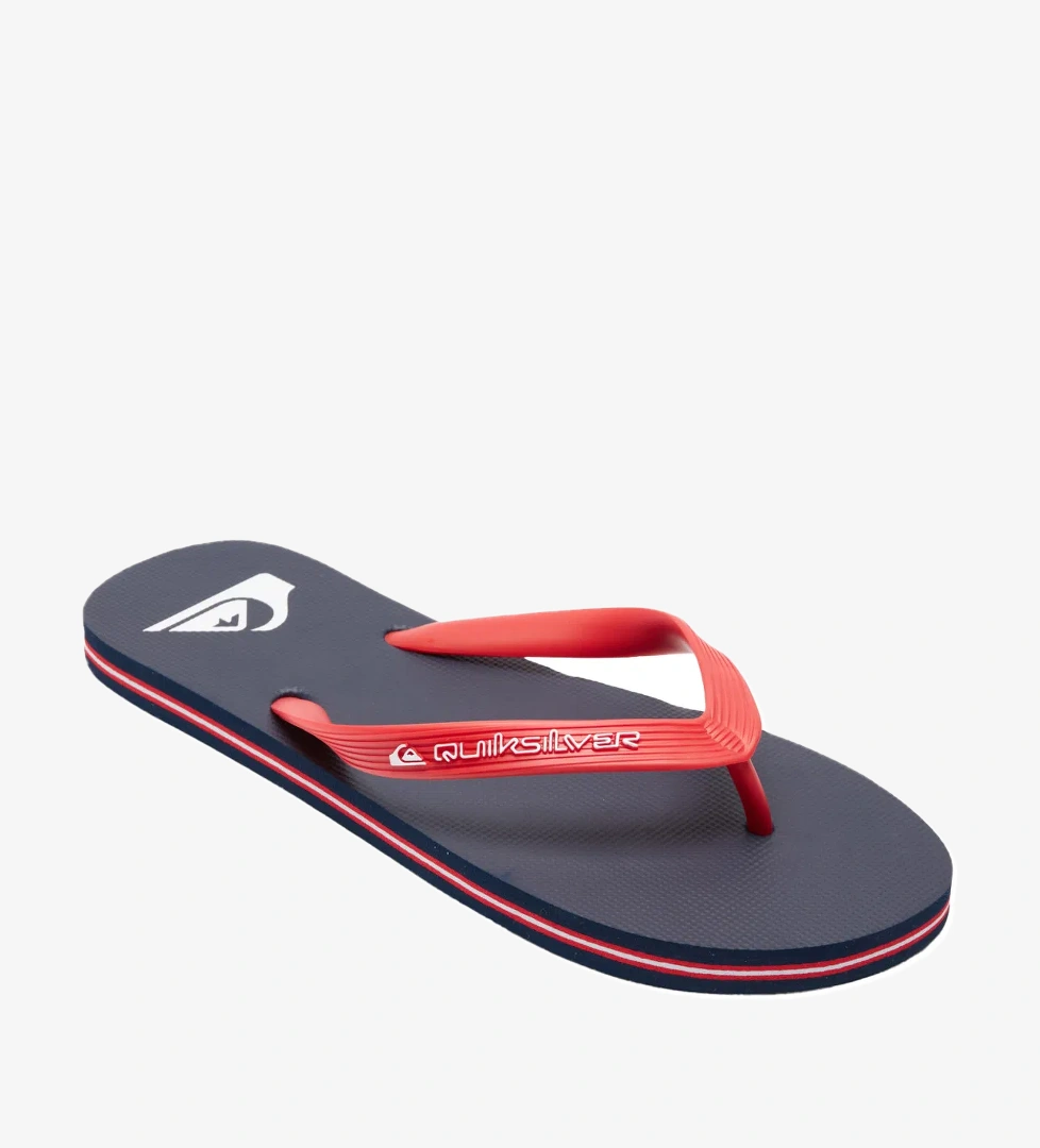 Quiksilver Quiksilver Terlik Molokai Erkek Core model görseli