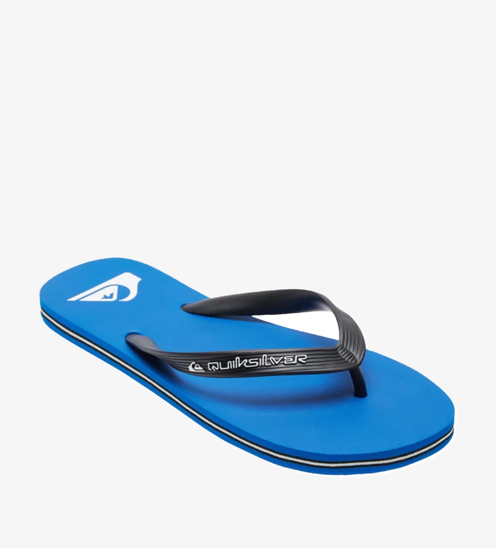 Quiksilver Quiksilver Molokai Core Erkek Terlik model görseli