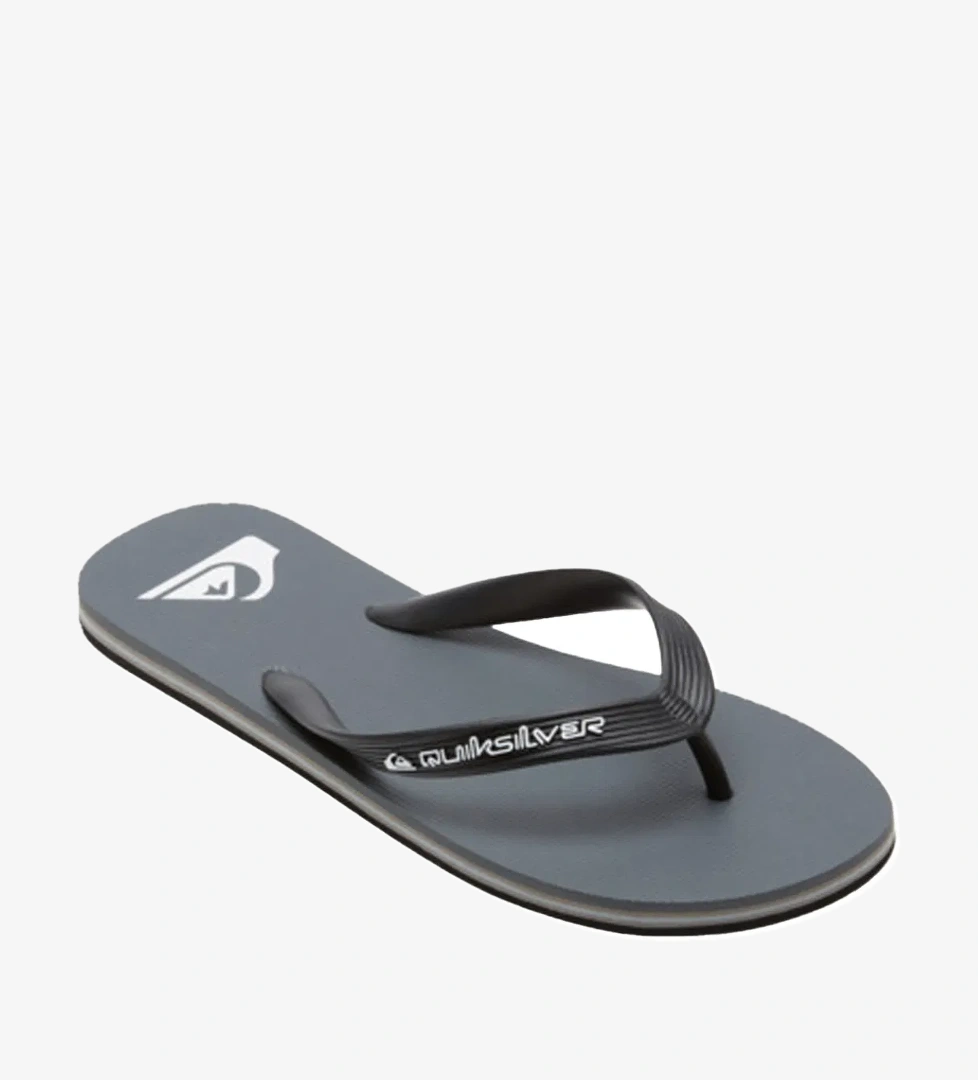 Quiksilver Erkek Terlik Molokai Core Gri